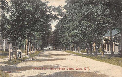 Cherry Valley New York Alden Utca Keres Dél-Antik Képeslap J49659