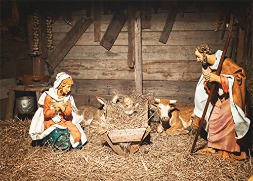 Leowefowa Betlehemes Hátteret Fotózás 7x5ft Rongyos Jászolban, megszületett Jézus, Szűz Mária, szent József Szarvasmarha